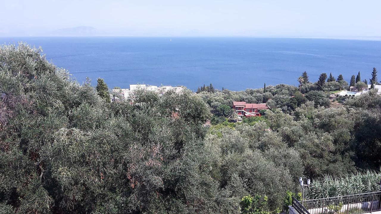 Achillion Luxury Corfu Villa & Suites Perama Exterior foto